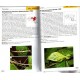 Brock P. D., Büscher T.H., 2022: Stick and leaf - Insect of the world, Phasmids