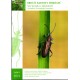 Mlejnek R., 2024: Broučí klenoty mokřadů (Coleoptera: Chrysomelidae: Donaciinae), sešit 8