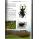 Weevils of Monte Grappa (Coleoptera Curculionoidea), Book 5, 2023