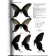 Racheli T., Bozano G.C., 2024: Guide to the Butterflies of the Palearctic region, Papilionidae  part V