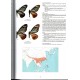 Racheli T., Bozano G.C., 2024: Guide to the Butterflies of the Palearctic region, Papilionidae  part V