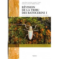 Révision de la tibu des Batocerini I, Genres Abatocera, Doesburgia, Microcriodes, Rosenbergia