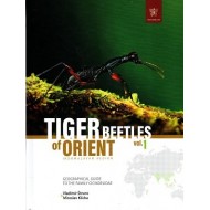 Štrunc V., Klícha M., 2024: Tiger beetles of Orient, vol. 1, Indomalayan region